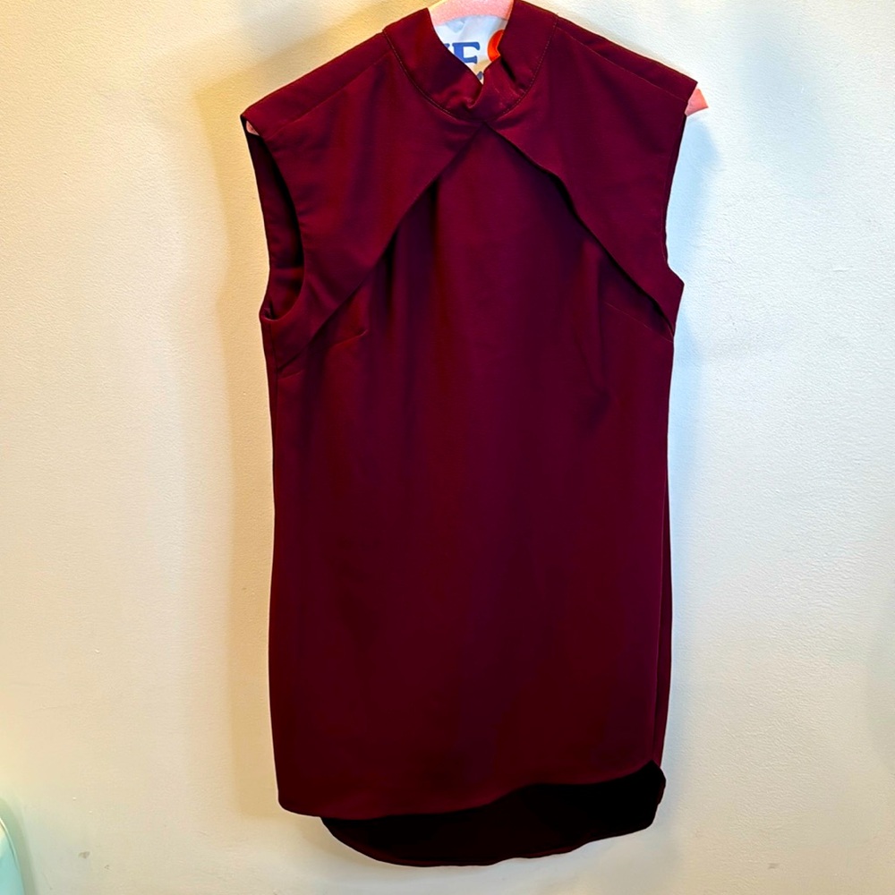 Burgundy Dress